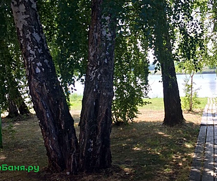 Бани