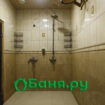 Оазис