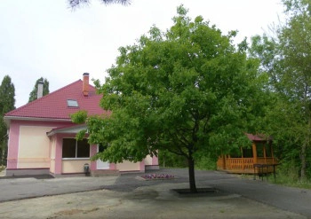 Сауна Осинки