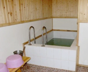 Гагаринские бани