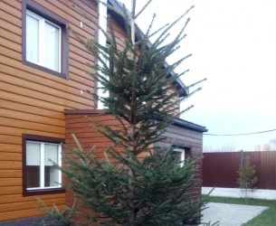 Банный дом Рахат Банный дом Рахат