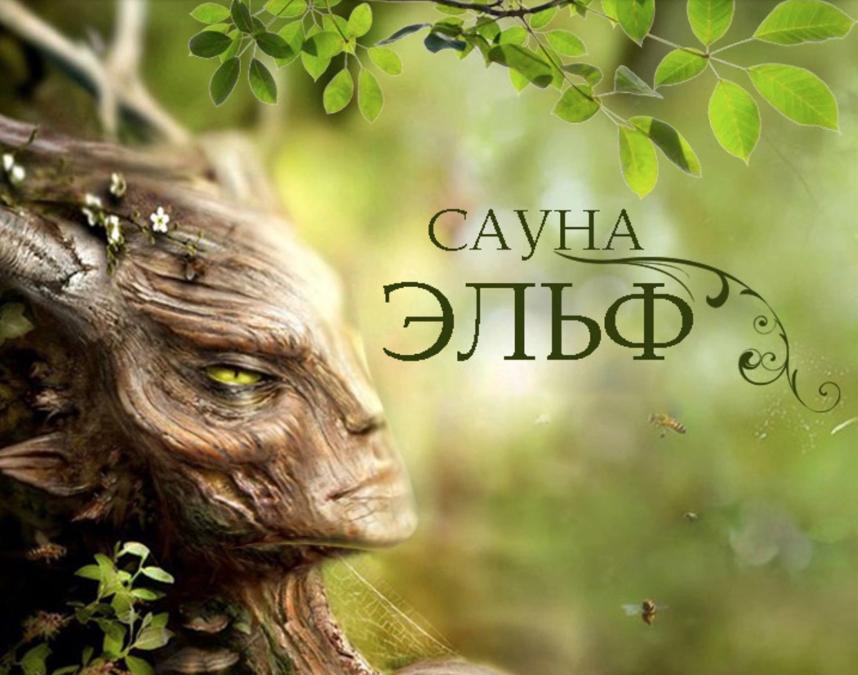 Сауна Эльф
