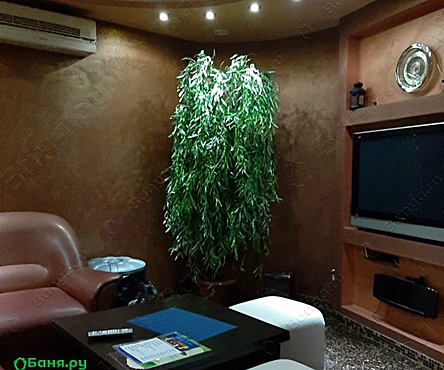 Средний VIP
