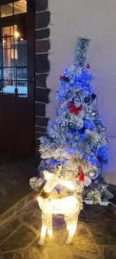 Сауна-СПА